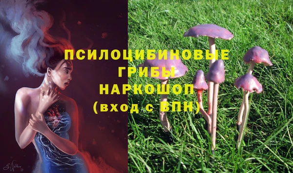 гашиш Переславль-Залесский