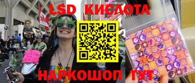 винт Кимры