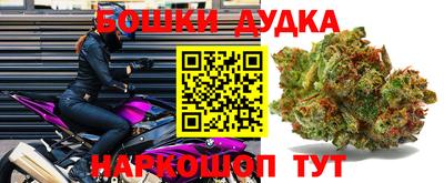 ПСИЛОЦИБИНОВЫЕ ГРИБЫ Кингисепп