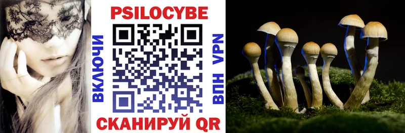 площадка клад  Мирный  Галлюциногенные грибы мицелий 