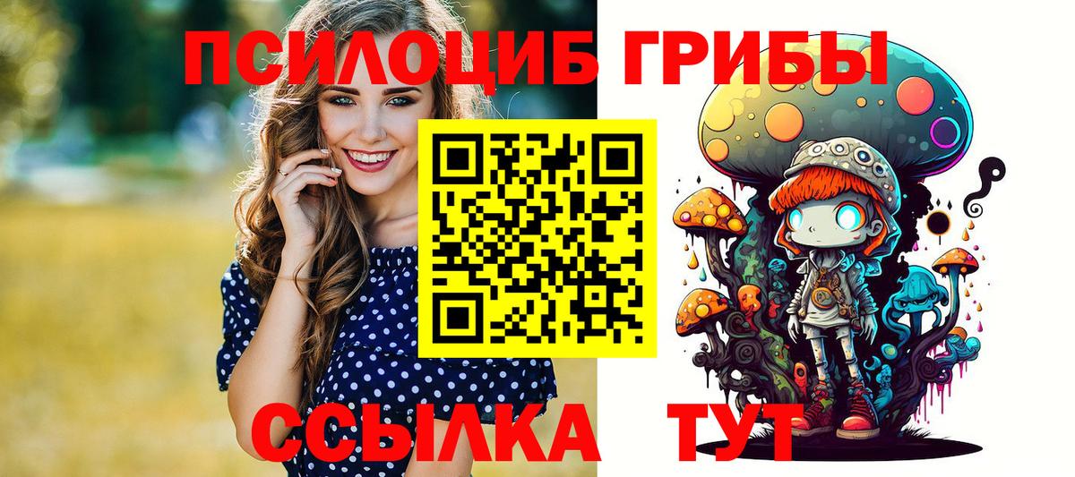 Мирный  Галлюциногенные грибы Psilocybine cubensis  как найти наркотики  Вход с VPN 