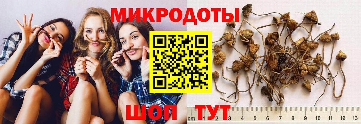 Псилоцибиновые грибы Cubensis Мирный